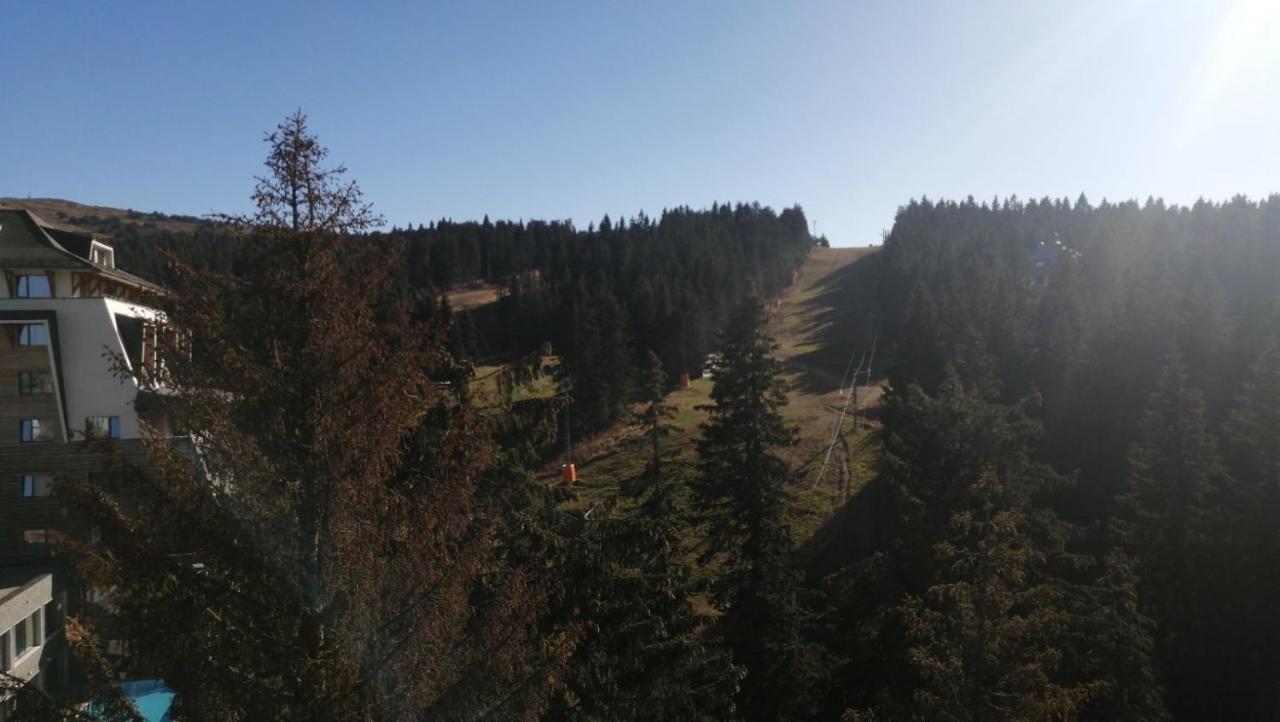 Woodside Apartments Kopaonik Exteriér fotografie